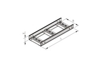 ����� ����������� ����