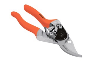 ������� ������� � ��������